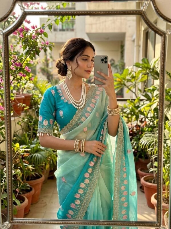 Saree with stitched blouse✨