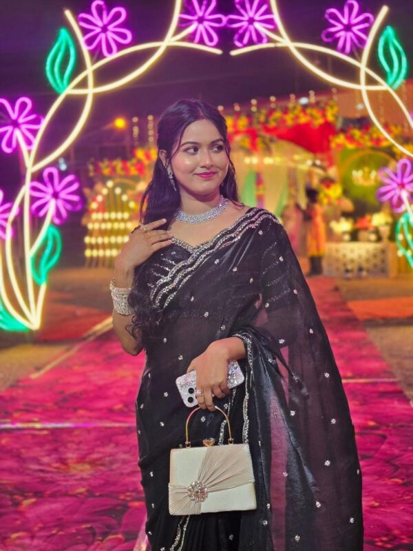 3 line handwork saree